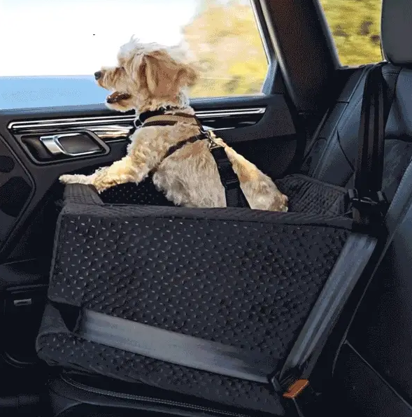 Car Ride Adaptation and Comfortable Travel Plan